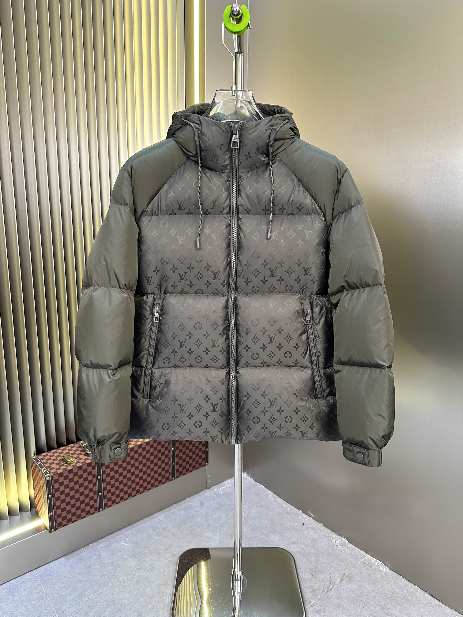 Louis Vuitton Down Jackets